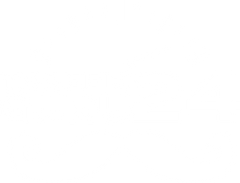 Trafficguru24